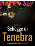 schegge-di-tenebra-ebook schegge-di-tenebra-ebook